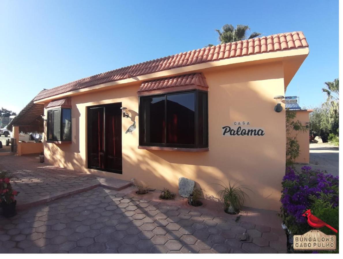 Bungalows Cabo Pulmo Eksteriør billede