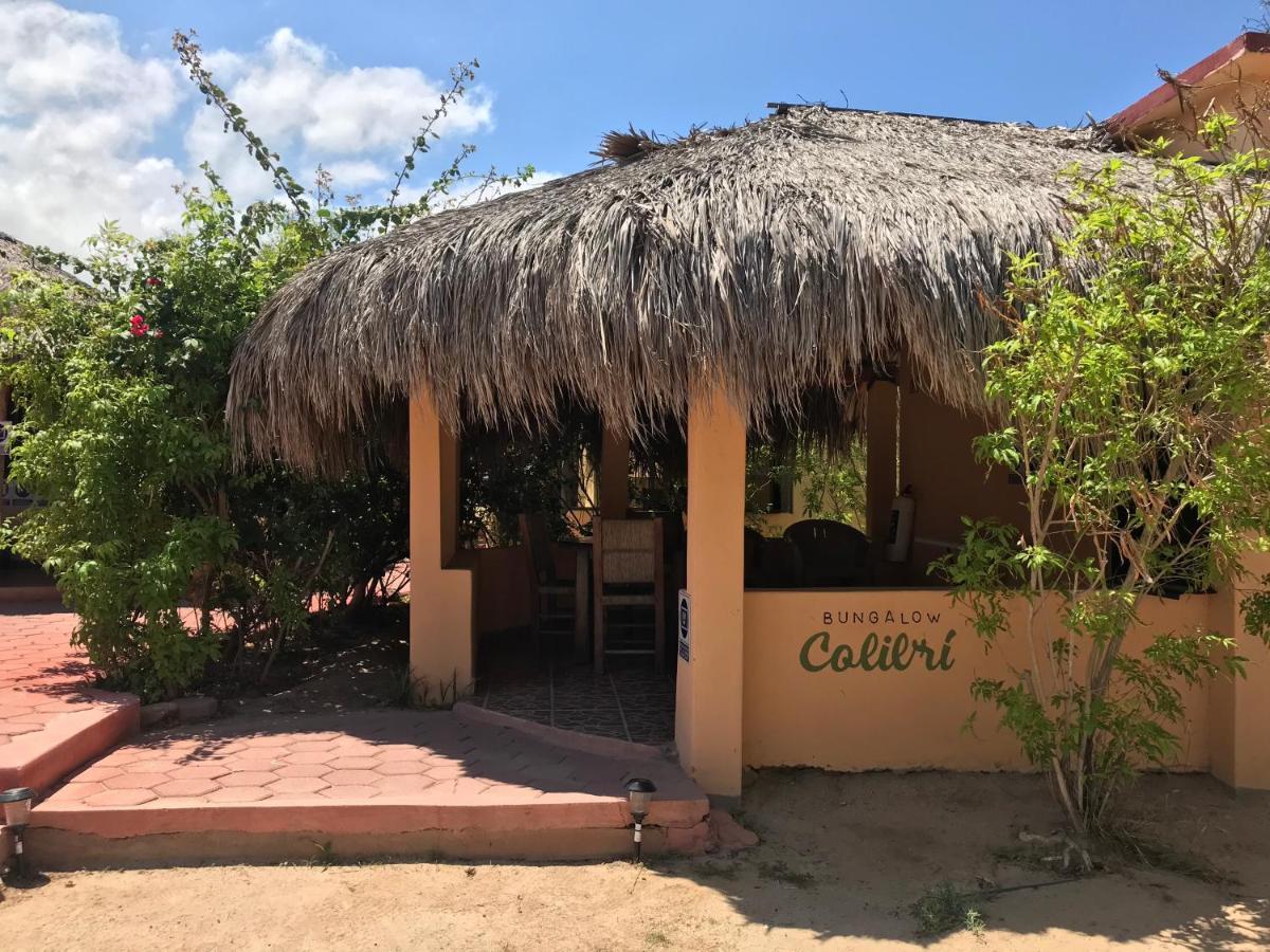 Bungalows Cabo Pulmo Eksteriør billede