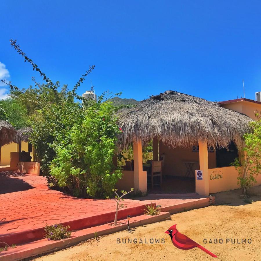 Bungalows Cabo Pulmo Eksteriør billede