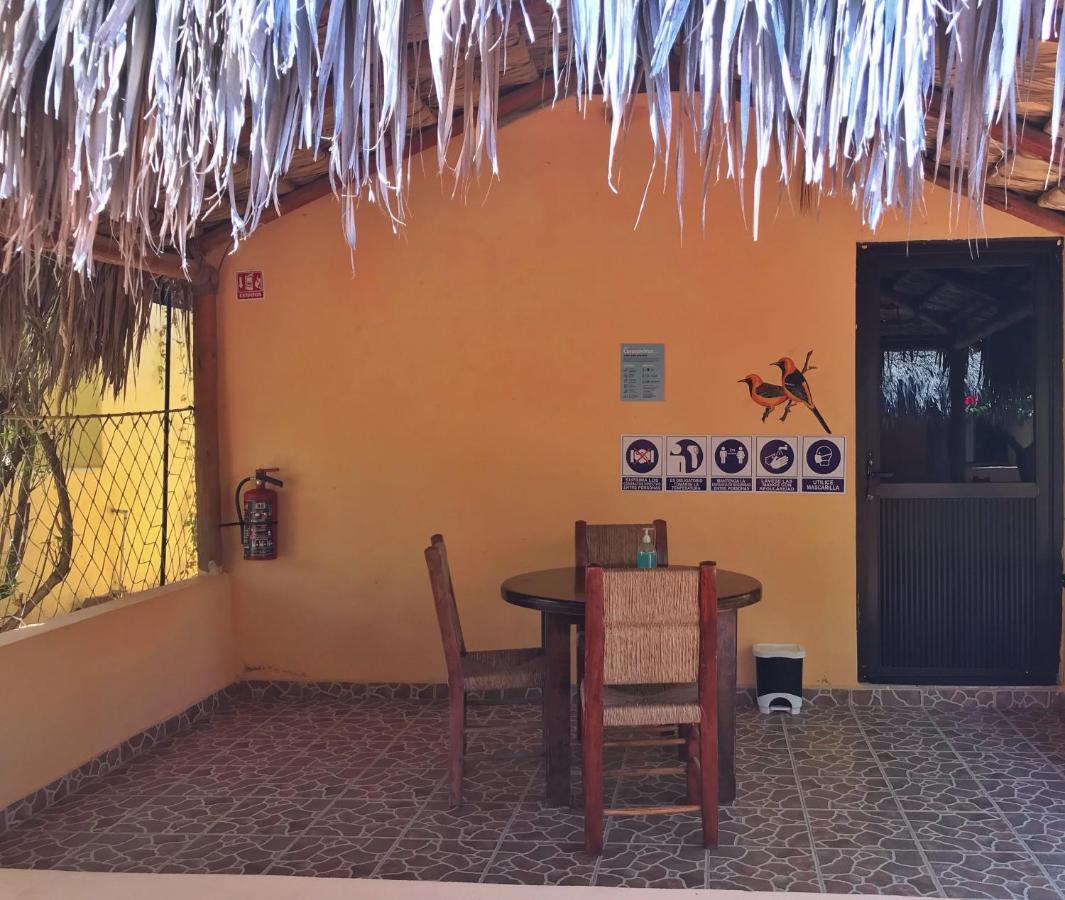 Bungalows Cabo Pulmo Eksteriør billede
