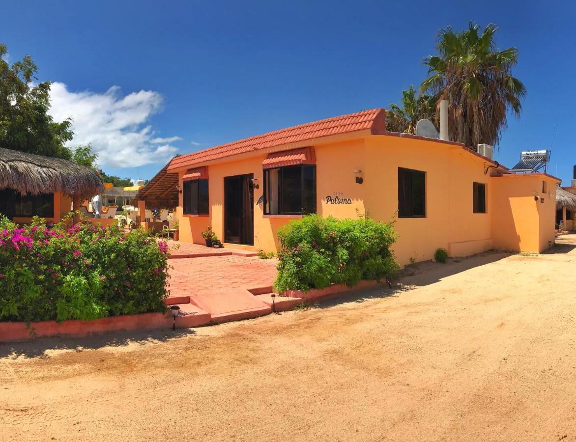 Bungalows Cabo Pulmo Eksteriør billede