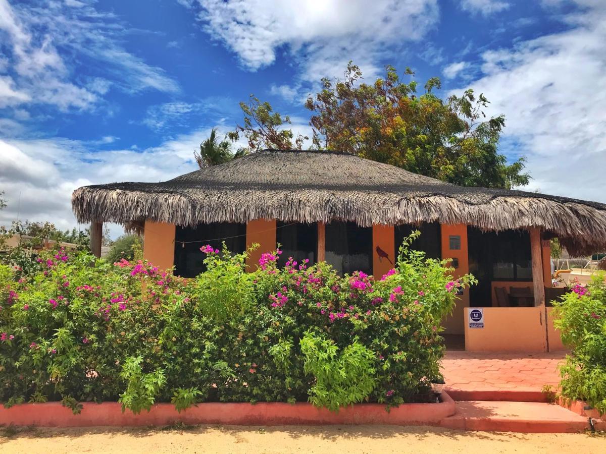 Bungalows Cabo Pulmo Eksteriør billede