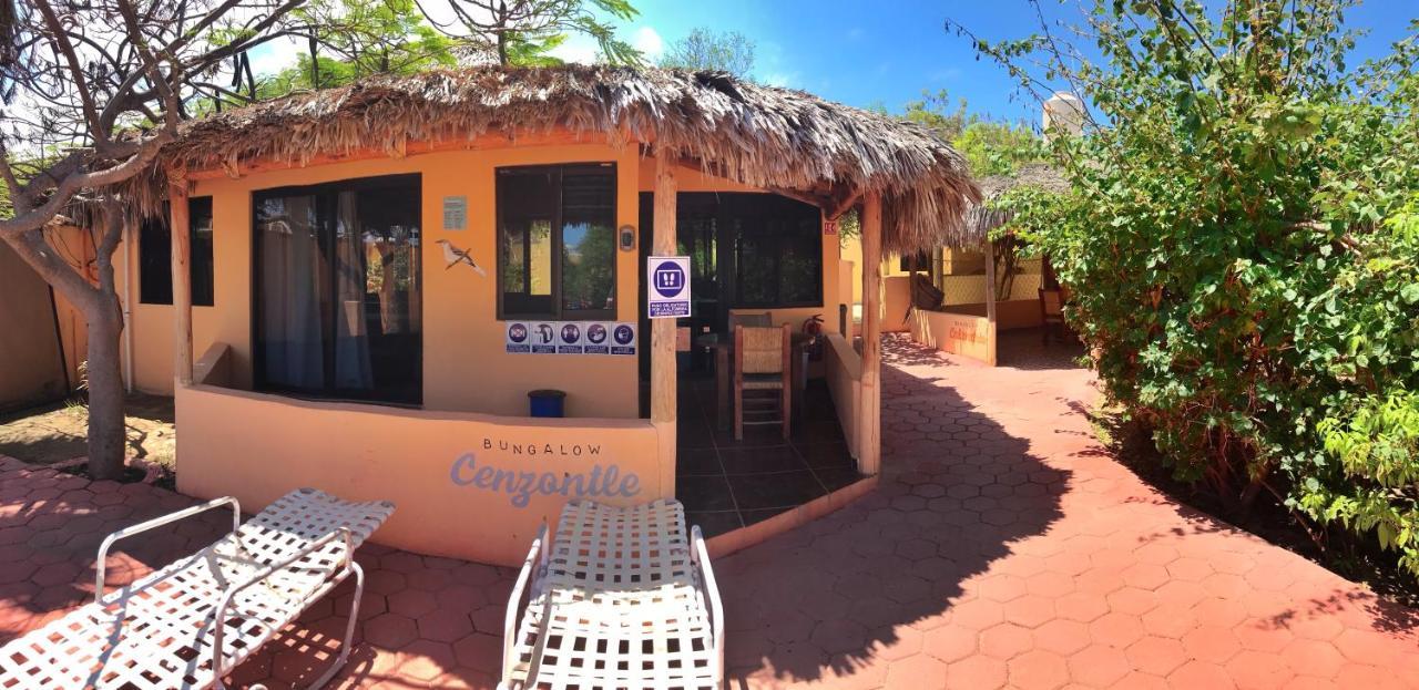 Bungalows Cabo Pulmo Eksteriør billede