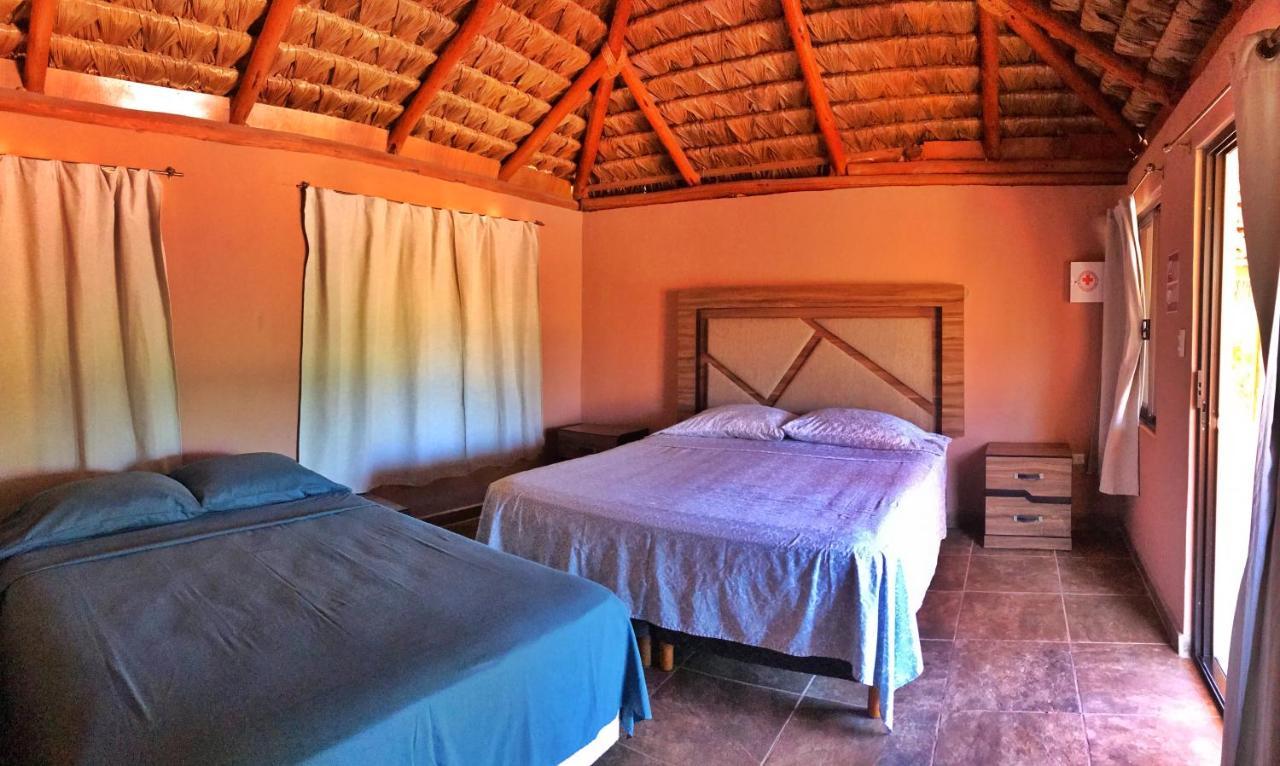 Bungalows Cabo Pulmo Eksteriør billede