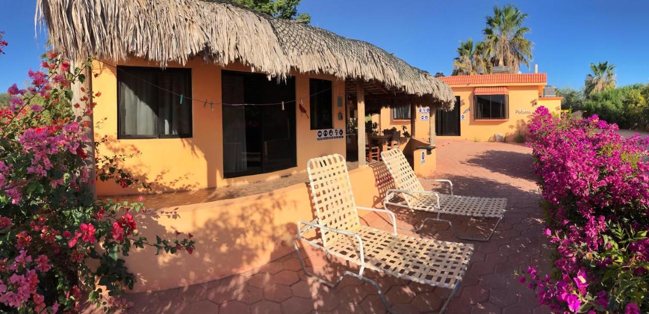 Bungalows Cabo Pulmo Eksteriør billede