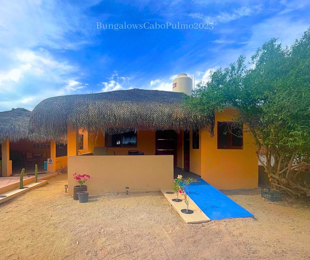 Bungalows Cabo Pulmo Eksteriør billede