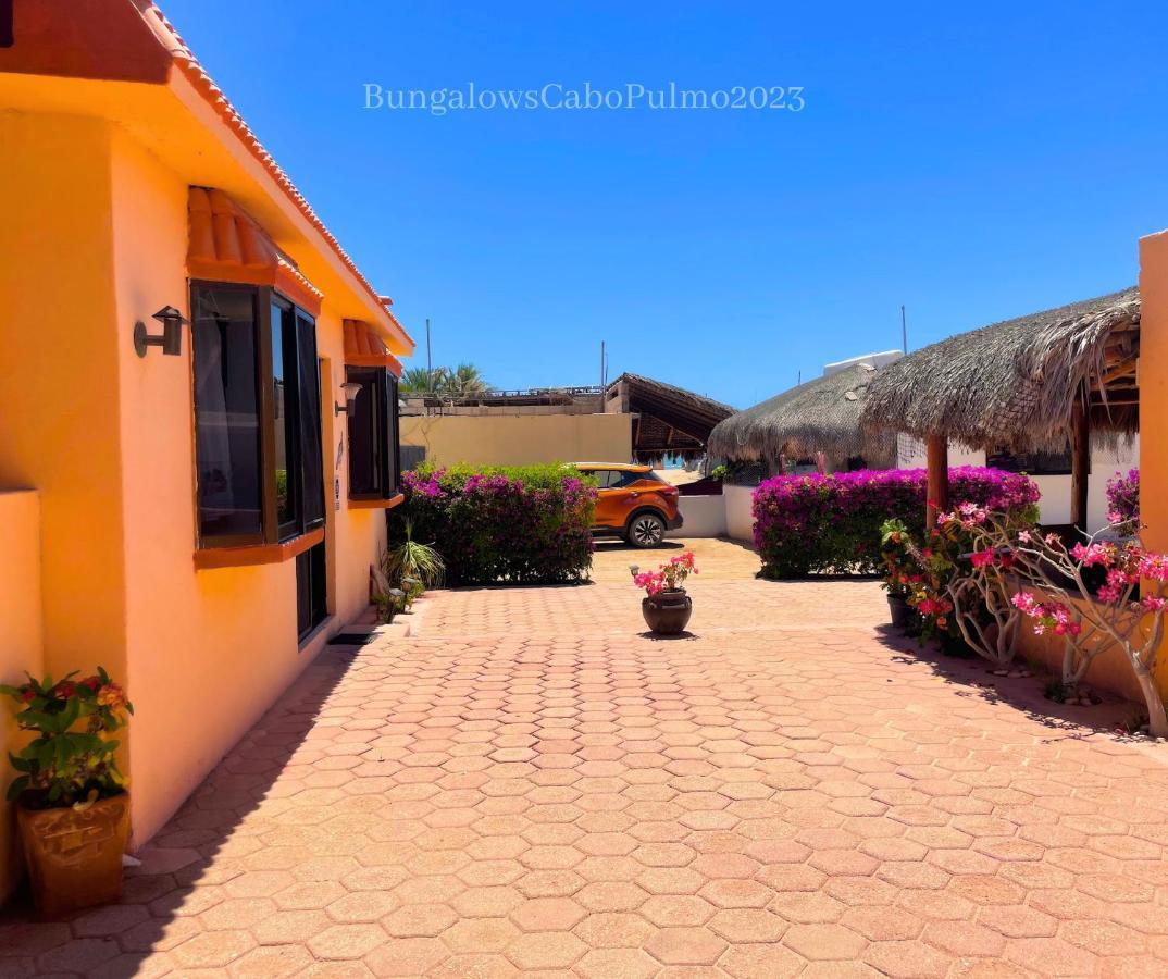 Bungalows Cabo Pulmo Eksteriør billede